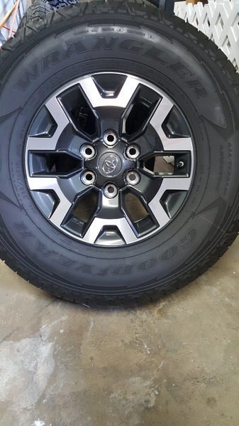 2016 tacoma.jpg