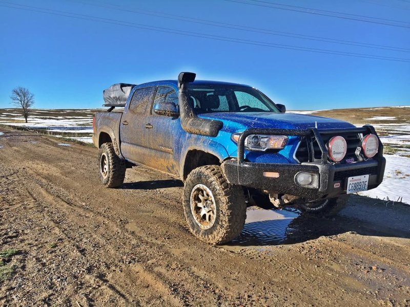2016 Taocma Blue.jpg
