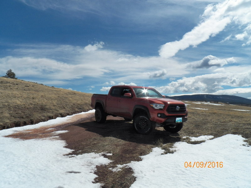 2016-Toyota-Tacoma0009.jpg