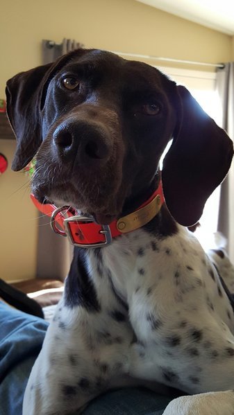 20160102_155934-1.jpg