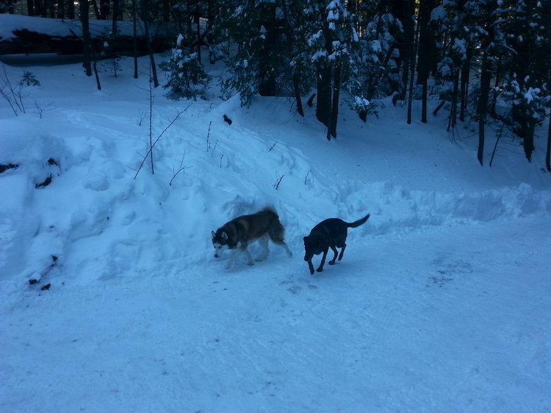 20160112_160234.jpg