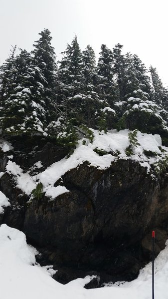20160116_123451.jpg