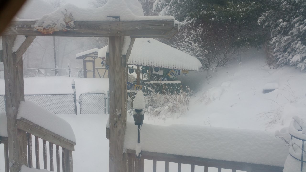 20160123_114605.jpg