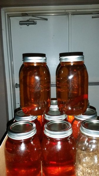 20160130_011114.jpg