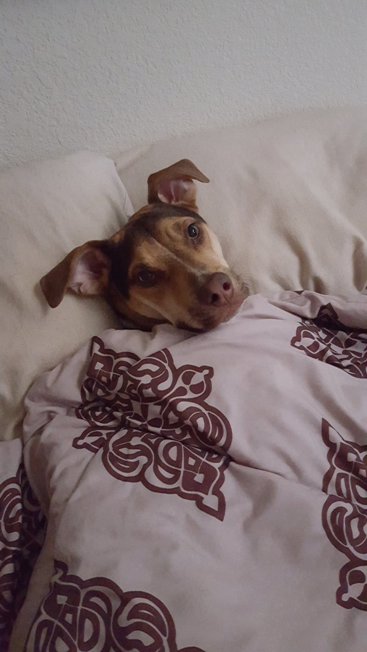 20160202_134945.jpg