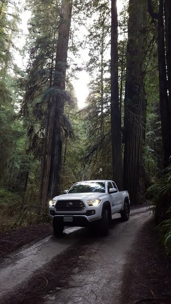 20160202_152842.jpg