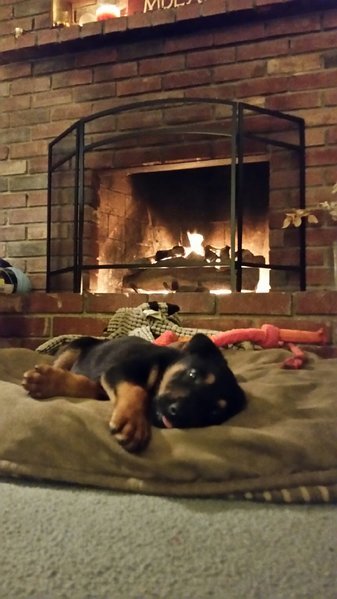 20160202_184132.jpg