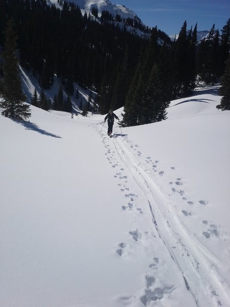 20160210_113847.jpg