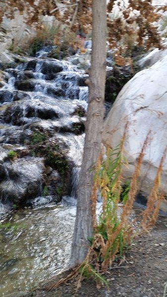 20160213_073556.jpg