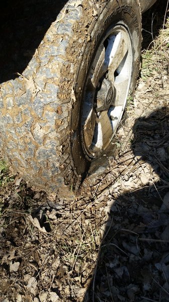 20160219_141951.jpg