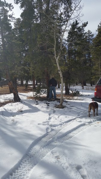 20160227_145643.jpg