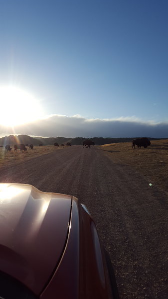 20160227_164541.jpg