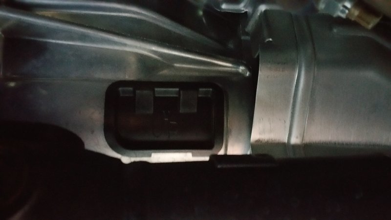 20160301_081118.jpg