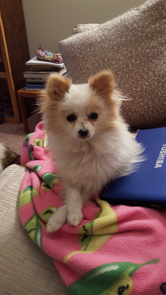 20160304_212726.jpg