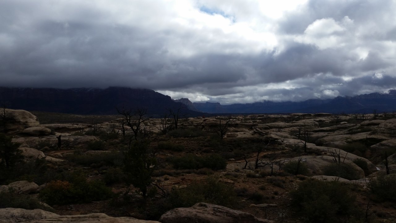 20160312_102947.jpg
