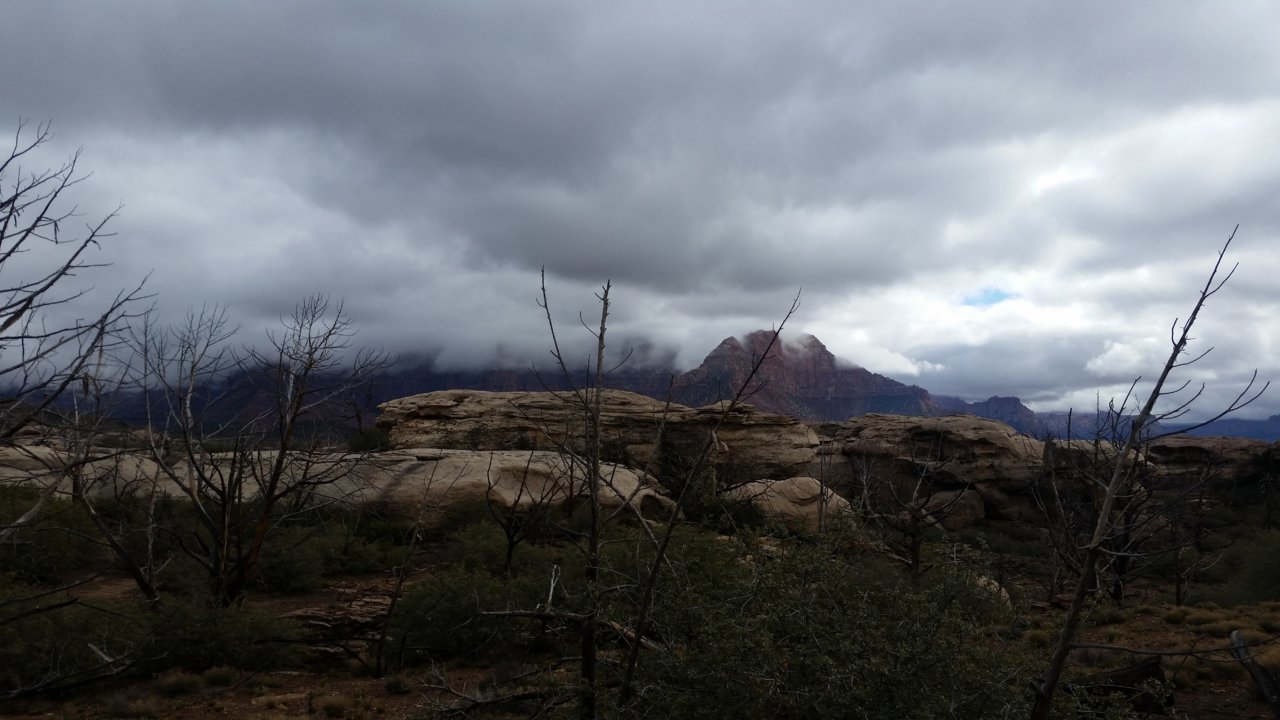 20160312_104609.jpg