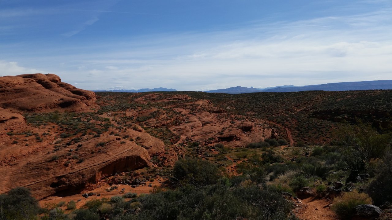 20160313_114016.jpg
