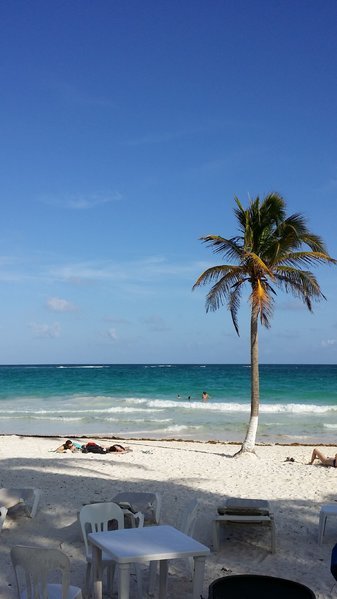 20160318_160357.jpg