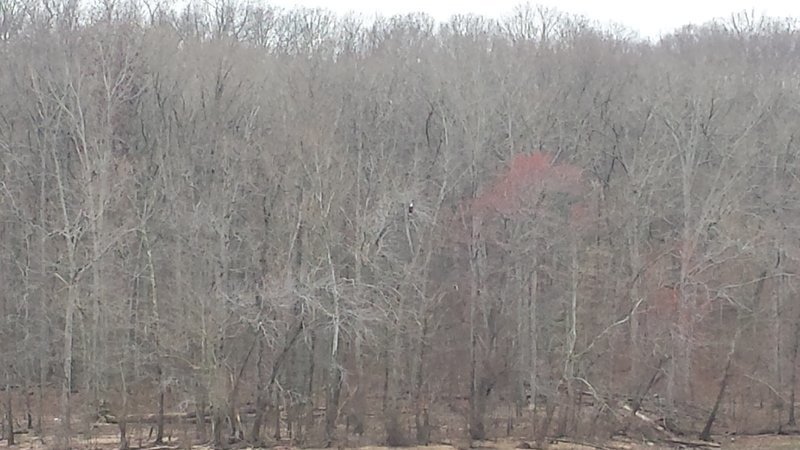 20160319_120447.jpg