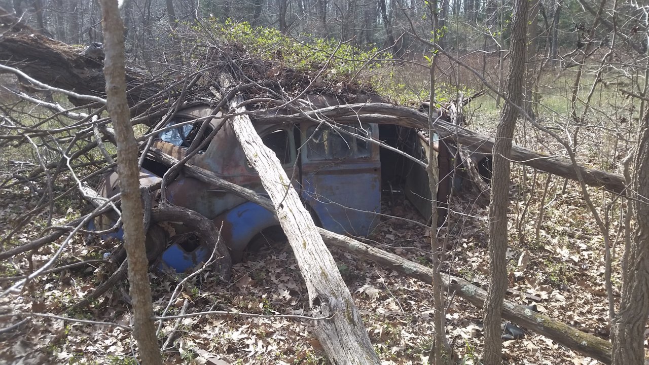 20160323_111201.jpg