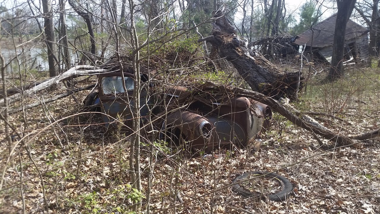 20160323_111222.jpg