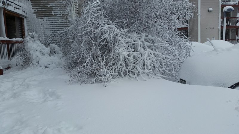 20160323_153959.jpg