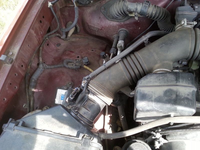 20160324_144511.jpg