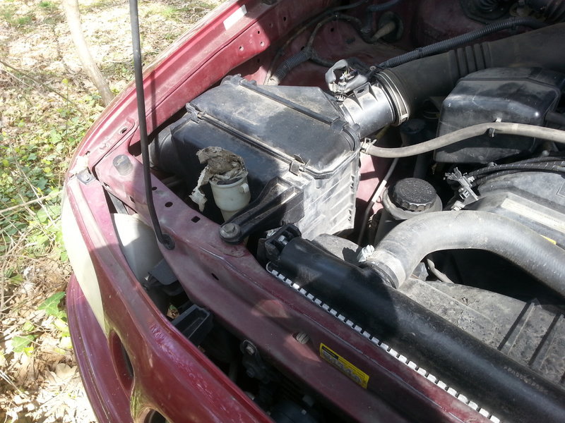 20160324_144517.jpg
