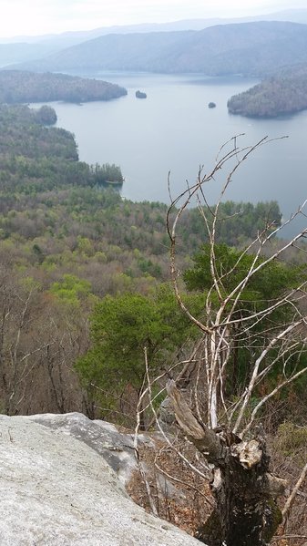 20160326_131116.jpg