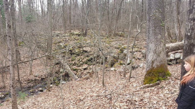 20160326_131818.jpg