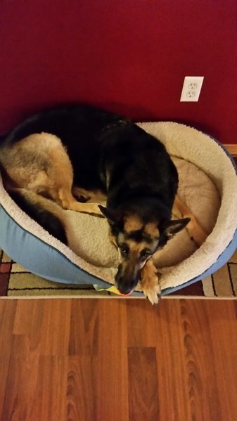 20160331_180346.jpg