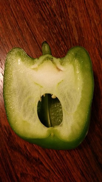 20160331_224442.jpg