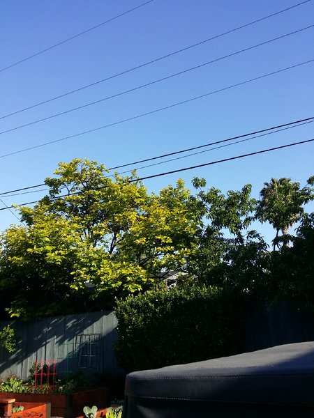 20160401_085422.jpg