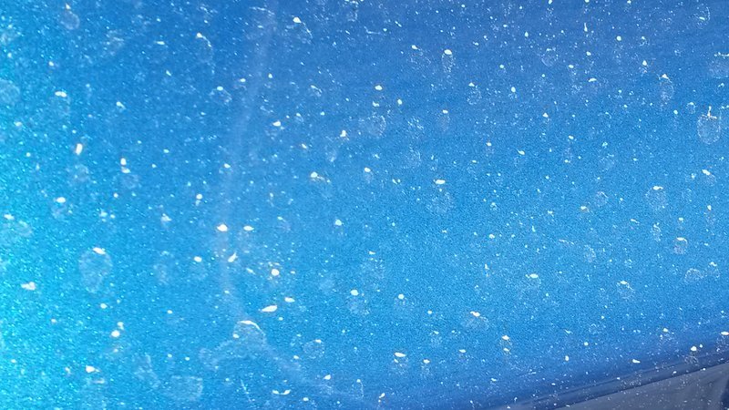 20160401_155205.jpg