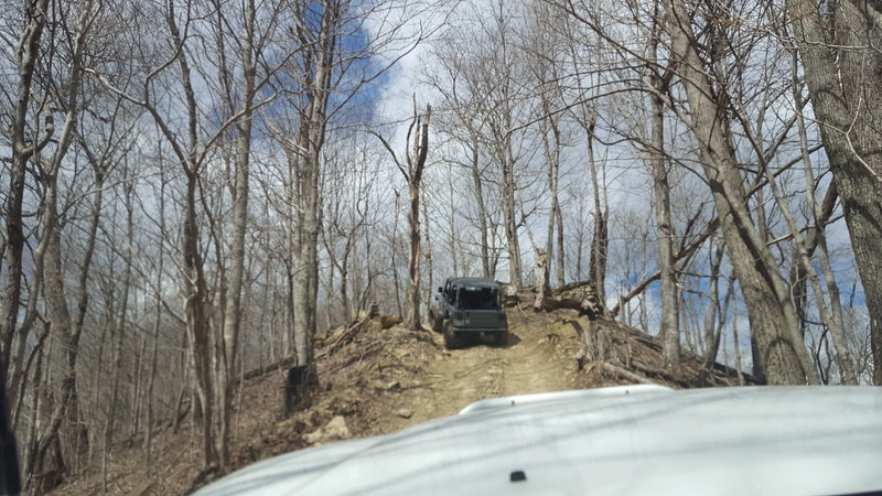 20160402_122159.jpg