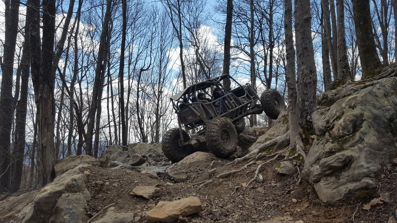 20160402_134410.jpg
