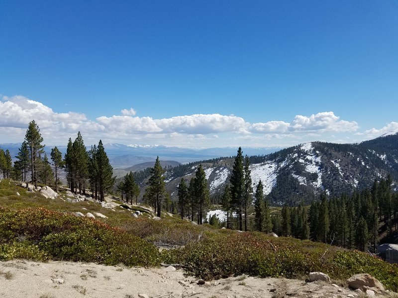 20160402_144455.jpg