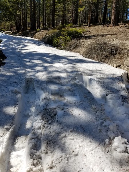 20160402_145300.jpg