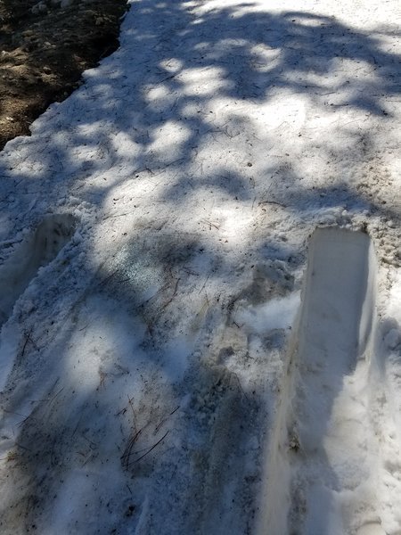 20160402_145322.jpg