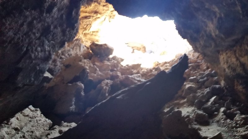 20160403_114842.jpg