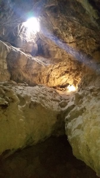 20160403_115018.jpg