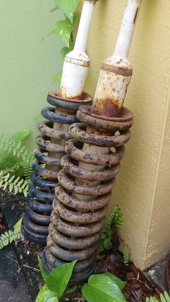 20160403_125552.jpg