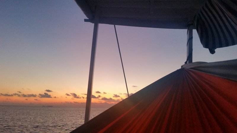 20160404_054612.jpg