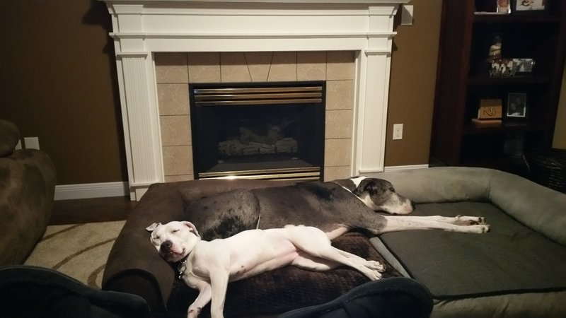 20160408_210336.jpg