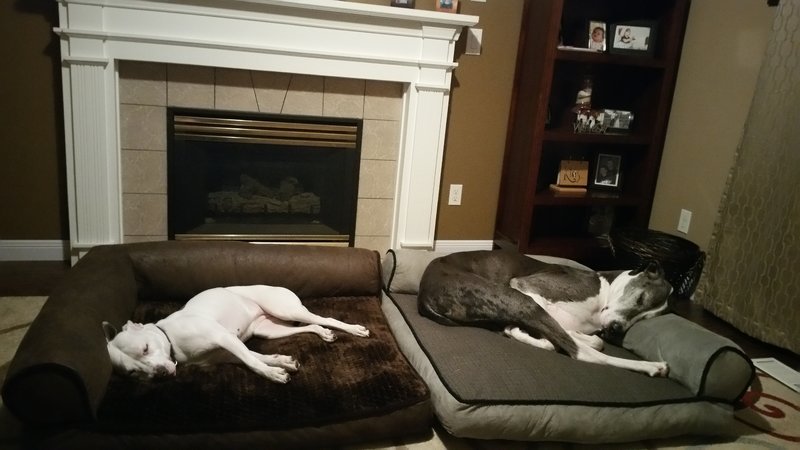 20160408_214549.jpg