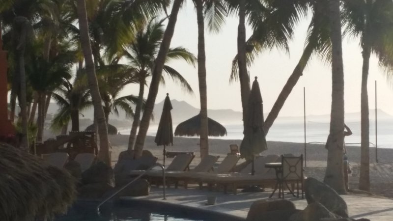20160409_065121.jpg