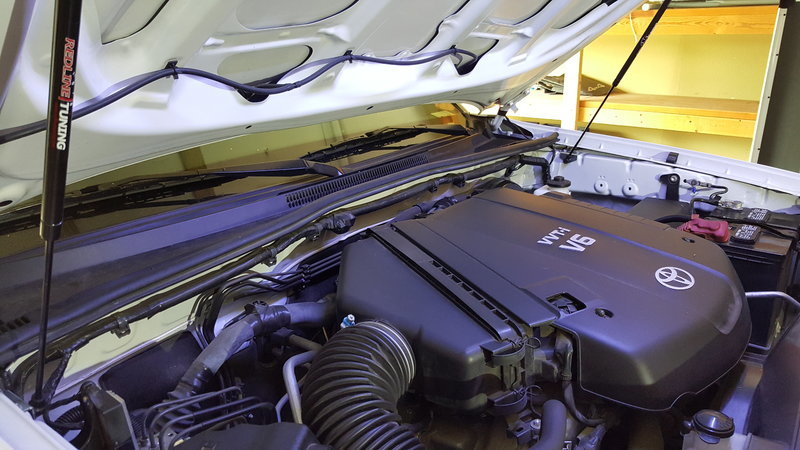 20160410_125720.jpg