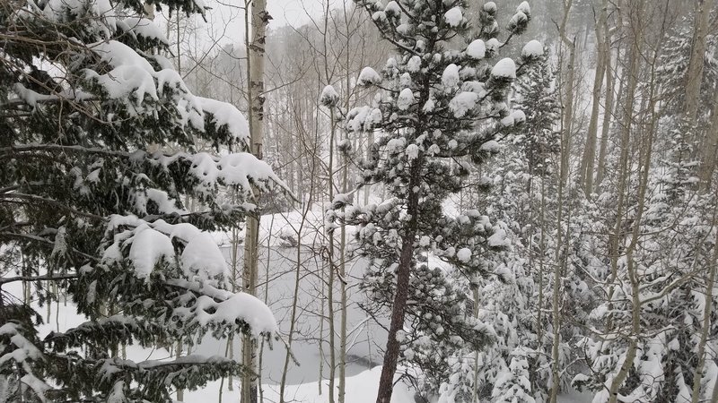 20160416_072739.jpg