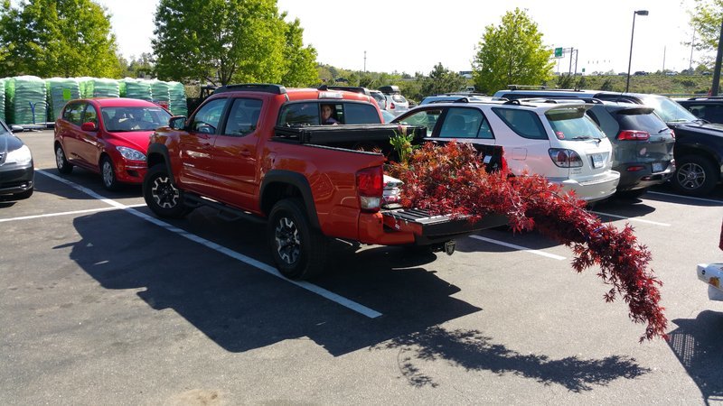 20160416_155941.jpg
