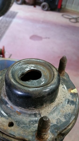 20160422_083604.jpg